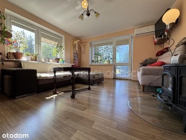 Frank gm. Kaliska - dom na sprzedaż