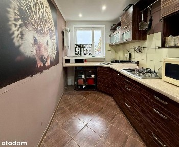 Mieszkanie dwupokojowe Turek