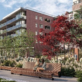 ul. Żupnicza, Kamionek, Praga-Południe, Warszawa, mazowieckie