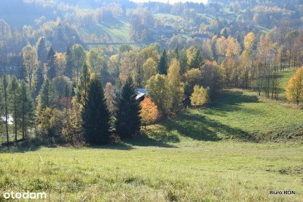 ul. Górna, Czarnów, Kamienna Góra, kamiennogórski, dolnośląskie