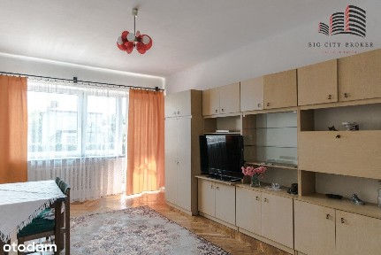 Solec nad Wisłą dom wolnostojący