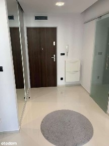 Przytulne mieszkanie Kamieńskiego 50m2 dla pary