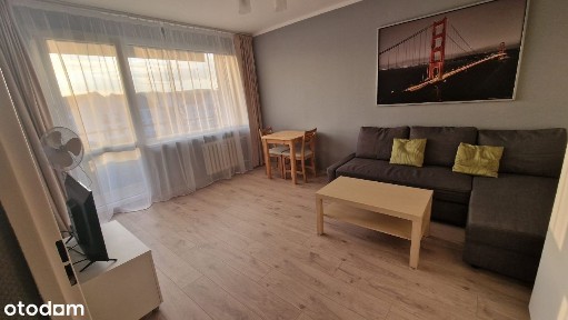 Świebodzice, świdnicki, dolnośląskie