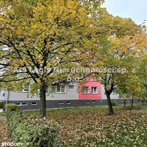 Mieszkanie, 44,70 m², Turek