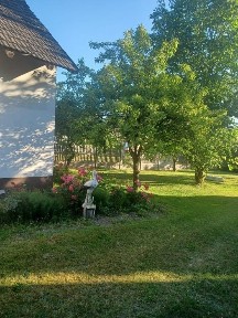 Dom 210m2 z Hektarem Lasu,Garażami,budynkami gospodarczymi