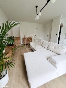 Nowy dom z ogródkiem do wynajęcia