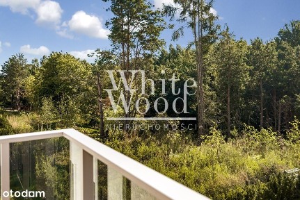 Mały Kack, Gdynia, pomorskie