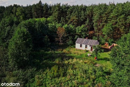 Sprawdź >>> Siedlisko z linią brzegową 2302m2