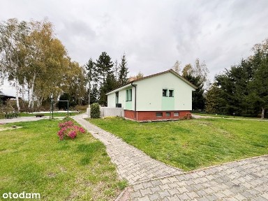 Dom, 102 m², Gryfino