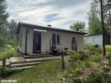 Nieruchomość w lesie, gm. Topólka