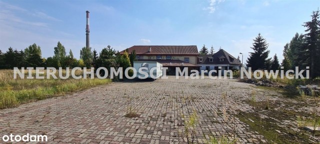 Lokal użytkowy, 650 m², Kutno
