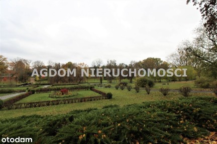 Kawalerka w Villa Park - Park H. Sienkiewicza