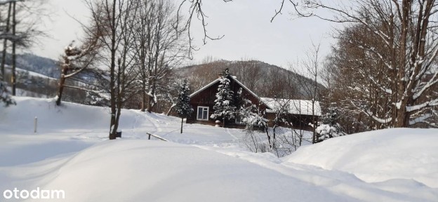 Dom drewniany z zabudowaniami