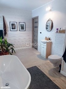 Dom blisko lasu i jeziora.