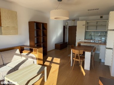 al. Aleja Wilanowska, Błonia Wilanowskie, Wilanów, Warszawa, mazowieckie