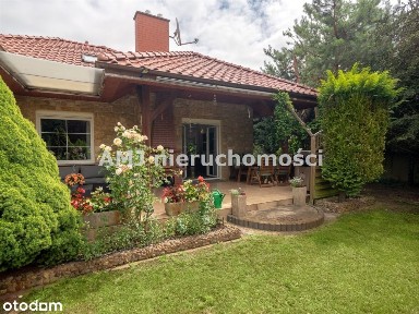 Dom marzeń w otoczeniu lasu