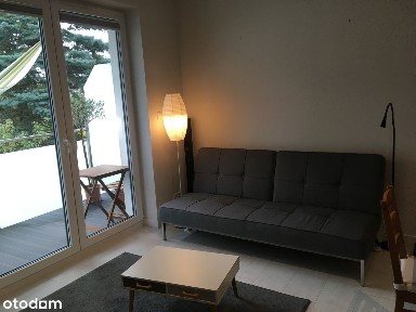 Mieszkanie 3-pok. do wynajęcia 70m2 P-no, przy parku - stan idealny!