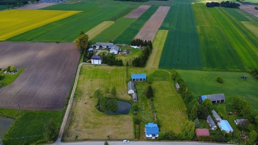 Siedlisko na wsi z domem i budynkami gospodarczymi