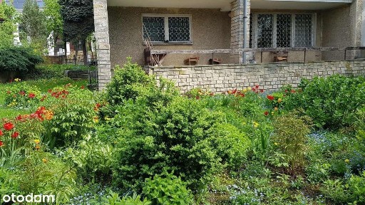 ul. Podlaska, Sołacz, Jeżyce, Poznań, wielkopolskie