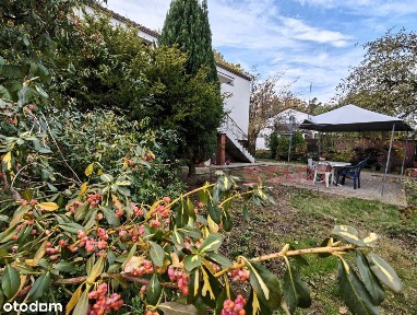 Żyrardów, żyrardowski, mazowieckie