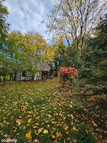 Dom z bali starodrzewie Sokołów Małopolski