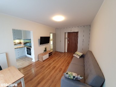 Wynajmę mieszkanie 1 pokjojowe w Kmiency Trybunalska