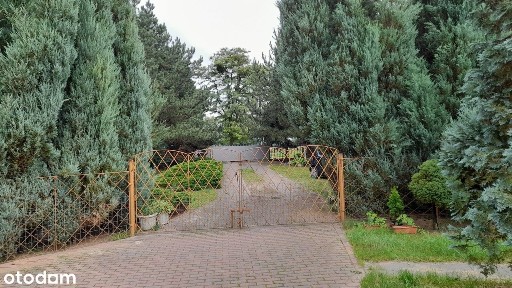 Dom w otulinie drzew w stylu południowoamerykańskim typu „Hacjenda”.