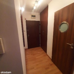 3 pokoje | 65m | wielki taras