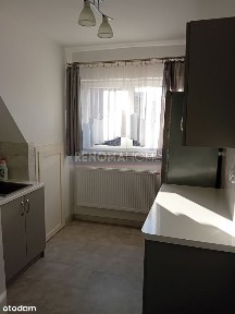 centrum miasta/kamienica/piwnica