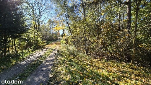 Gospodarstwo z domem 4ha ziemi