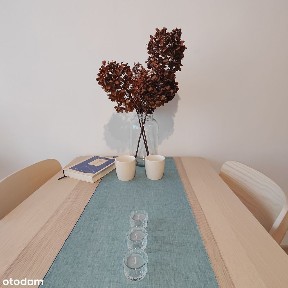 Mieszkanie w Centrum Łodzi