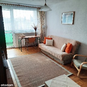 ul. Nowy Świat, Śródmieście, Kalisz, wielkopolskie