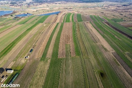 Koniecpol / Dom do remontu z potencjałem