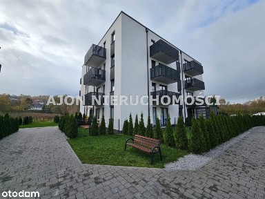 Żywiec, żywiecki, śląskie