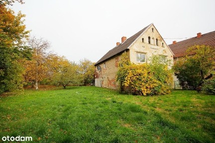 Budynek z obszerną działką z potencjałem