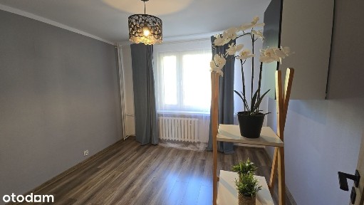 Zatorze, Gliwice, śląskie