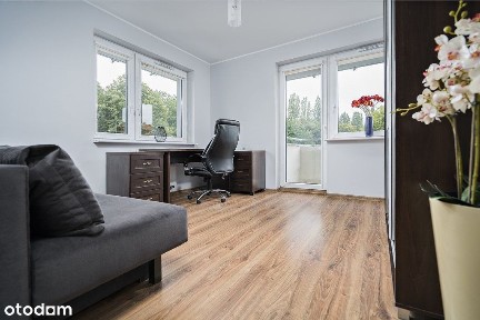 ul. Majora Władysława Raginisa, Śródmieście-Północ, Śródmieście, Szczecin, zachodniopomorskie