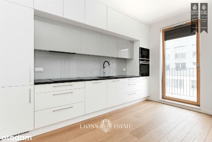 Błonia Wilanowskie, Wilanów, Warszawa, mazowieckie