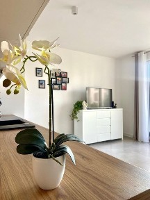 Kawalerka na wynajem - Szczecin Rajkowo