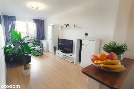 Mieszkanie do wynajęcia od 1 grudnia 2025