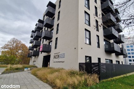 ul. prof. Jana Mikusińskiego, Wełnowiec-Józefowiec, Katowice, śląskie