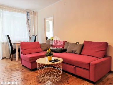 Kawalerka do końca czerwca 2026 | Sopot, Brodwino