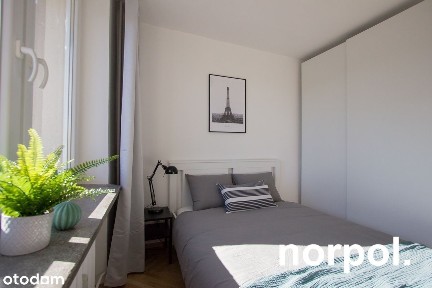 ul. Nowowiejska, Nowa Wieś, Krowodrza, Kraków, małopolskie