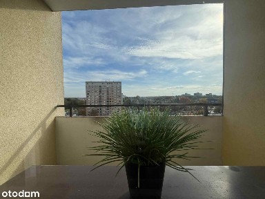 al. Niepodległości, Osiedle Dorota, Tychy, śląskie