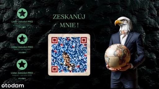 Tropem osobników w ich miejskim siedlisku