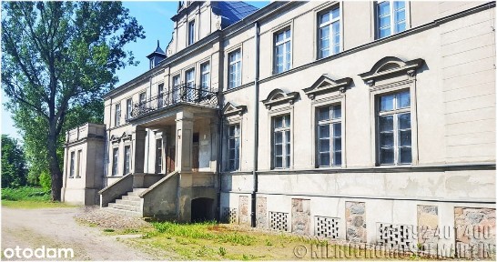 pałac w Niegolewie z parkiem 17 ha w tym rola 6 ha