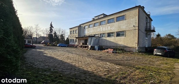 Lokal użytkowy, 1 050 m², Kutno