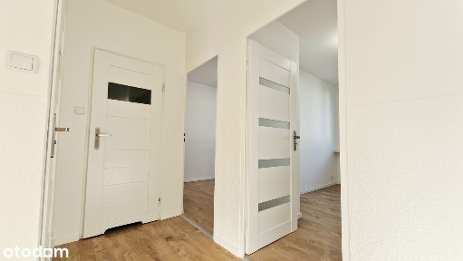 Frelichowskiego, 3 pokoje, duży balkon, dostępne od zaraz