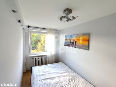 ul. Nauczycielska, Witomino-Radiostacja, Gdynia, pomorskie