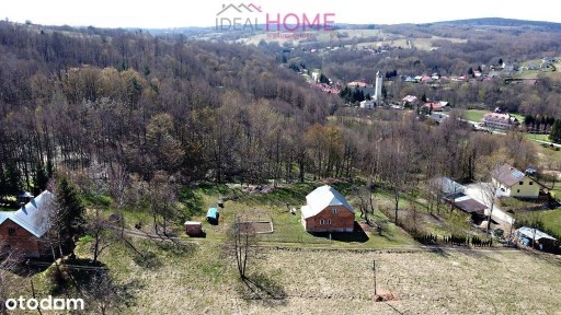 Kąkolówka, Błażowa, rzeszowski, podkarpackie